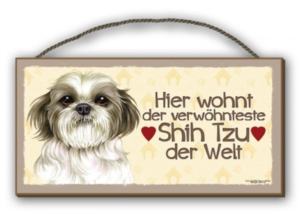 Shih Tzu