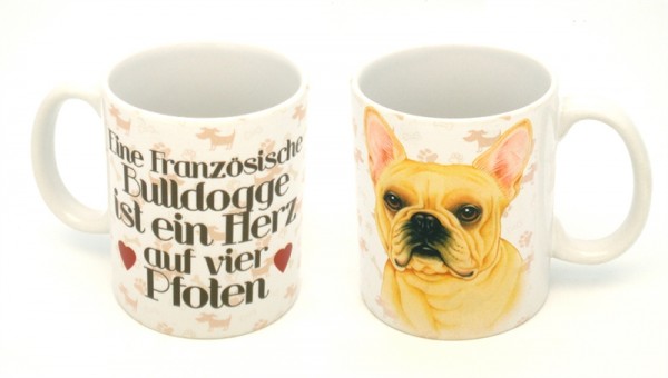 Französische Bulldogge