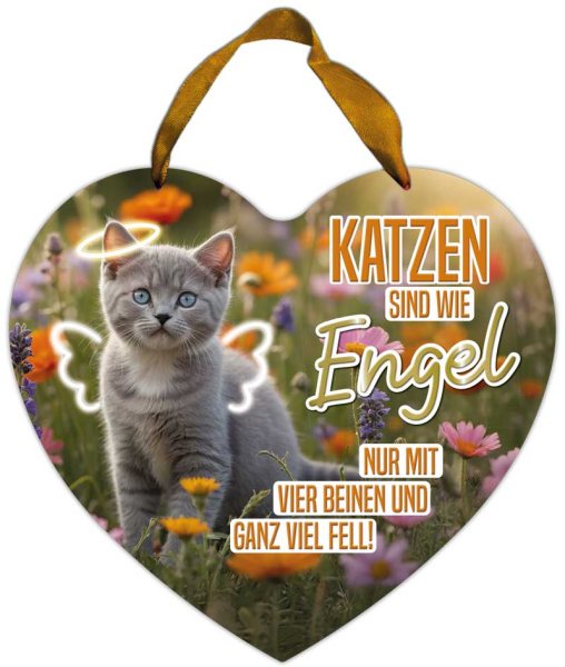 Herz-Blechschild Katzen sind wie Engel