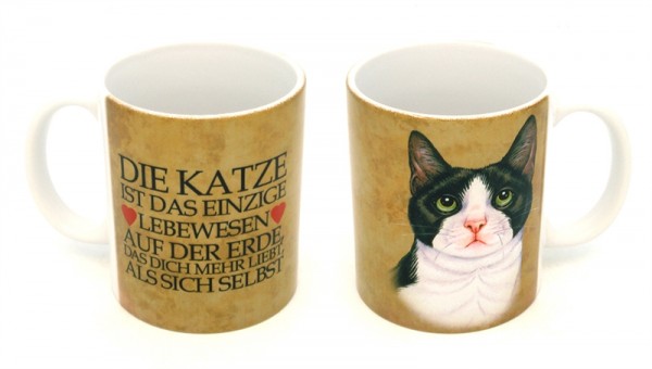 Schwarz-Weisse Katze