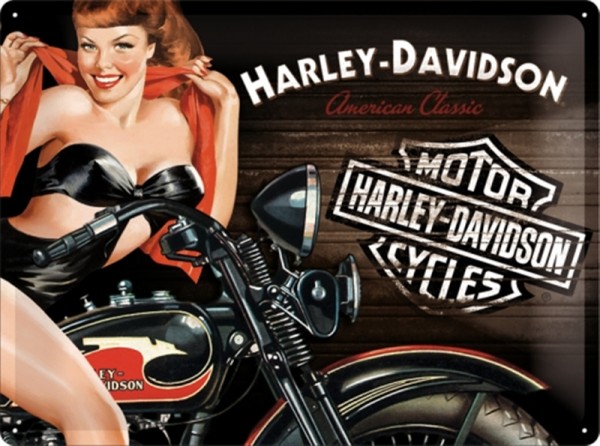Harley Davidson Pin up