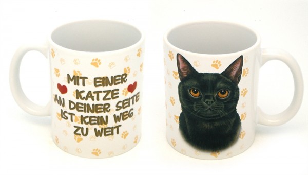 Schwarze Katze