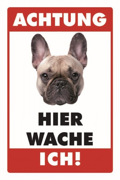 Französische Bulldogge Achtung Hier wache ich!