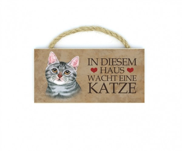 Graue Katze