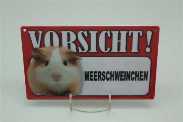 Meerschweinchen