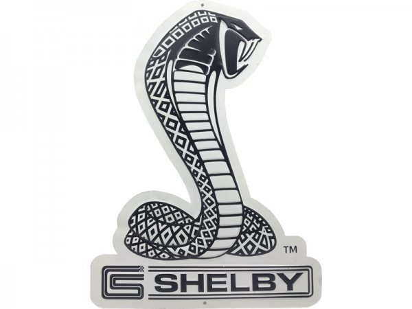 Ford Mustang Shelby Ford6