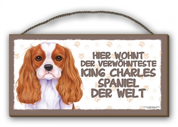 King Charles Spaniel