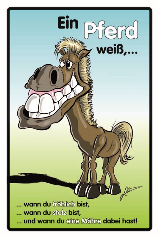 Blechschild Ein Pferd weiß,... Sprüche Lustiges Sonstiges