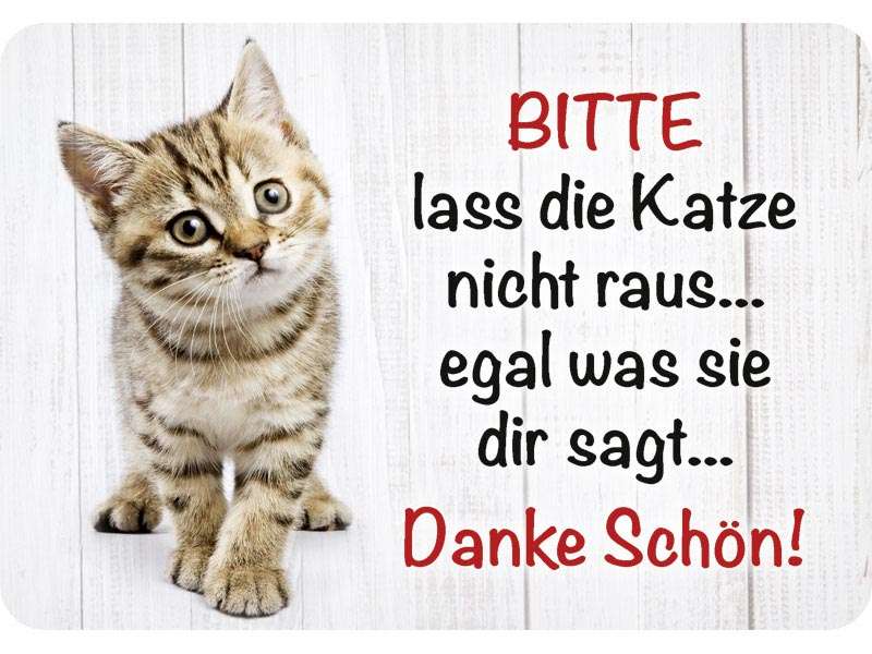 SUPERDANT Blechschild Katze Vintage – 20x30 Cm, Metall, Wanddeko Mit Spruch 'Ich Lese Bücher, Trinke Tee…'