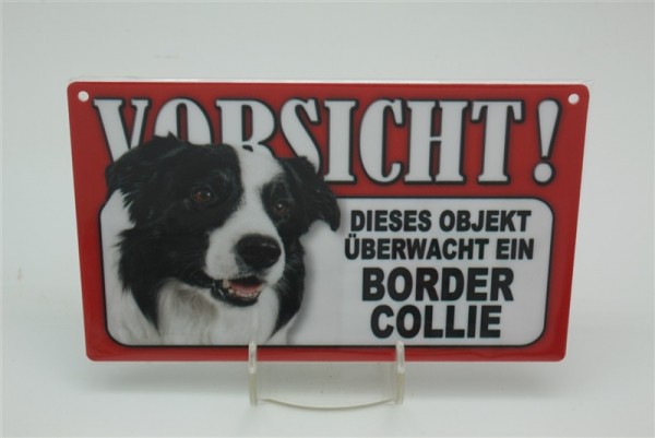 Border Collie