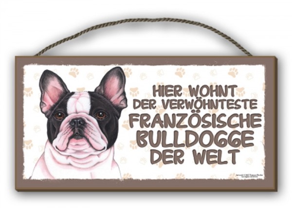 Französische Bulldogge