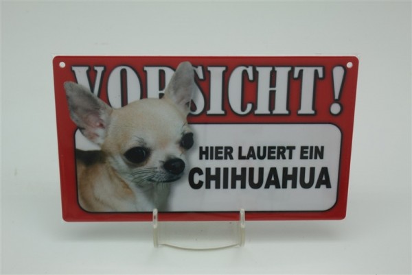 Chihuahua