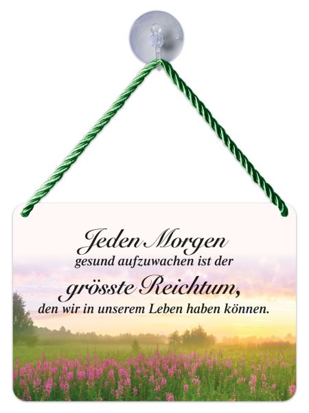 Kulthänger Blechschild Jeden Morgen gesund - Reichtum ! KH175