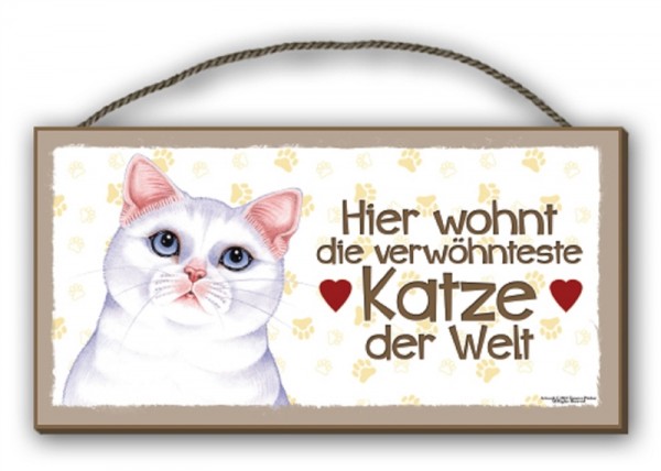 Weisse Katze