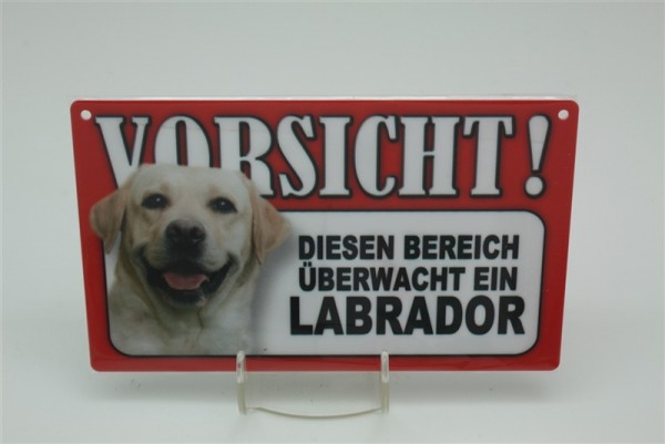 Labrador