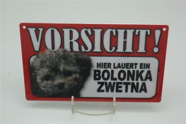 Bolonka Zwetna