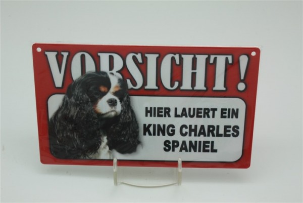 King Charles Spaniel