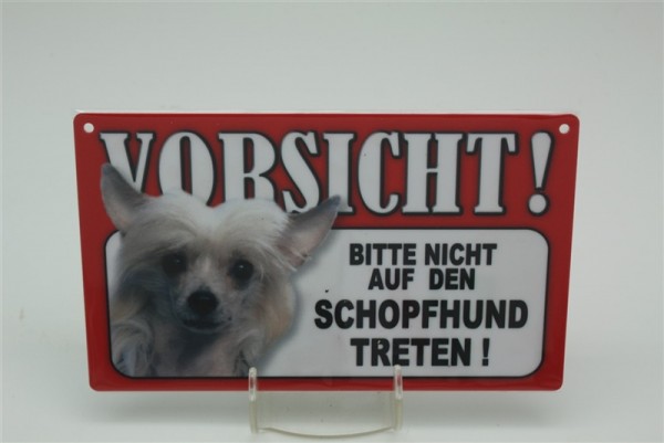 Chinesischer Schopfhund