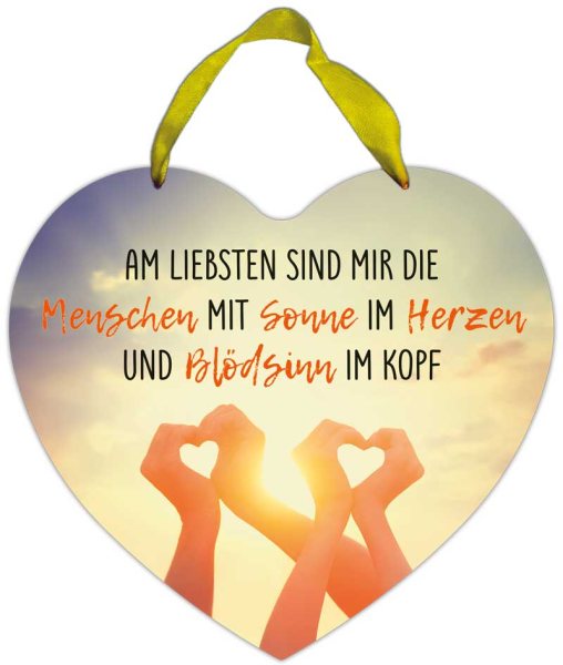 Herz-Blechschild Sonne im Herzen und Blödsinn im Kopf