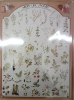 Blechschild Herbs Kräuter Blechschild Herbs Kräuter