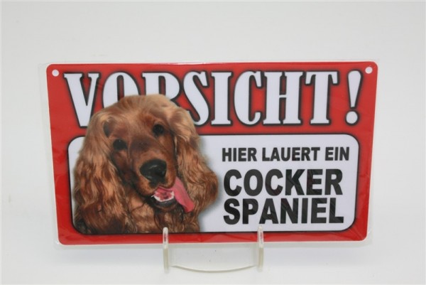 Cocker Spaniel