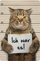 Ich war es! Katze Ich war es! Katze
