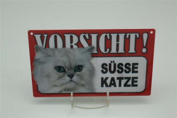 Süße Katze