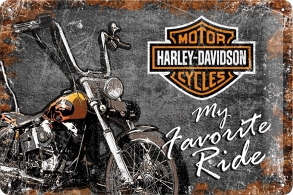 Harley Davidson My favorite Ride