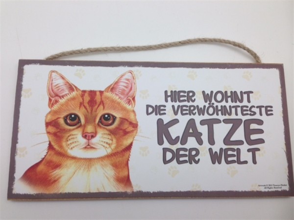 Ingwer Katze