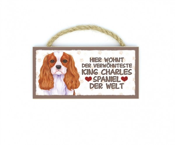 King Charles Spaniel