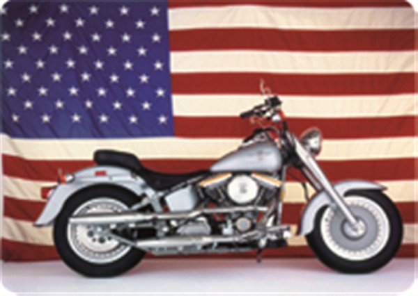 USA Biker