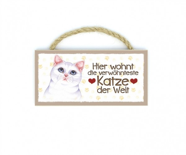 Weisse Katze