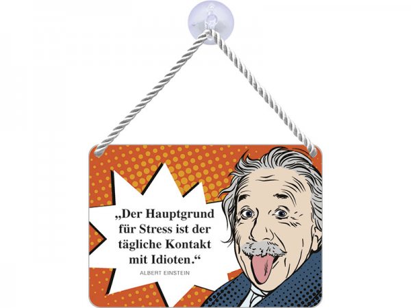 Kulthänger Blechschild Idioten Einstein KH124