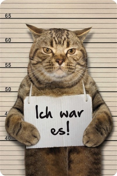 Ich war es! Katze