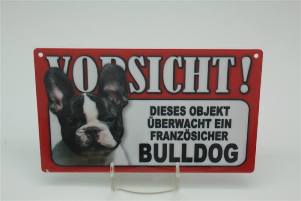 Französische Bulldogge