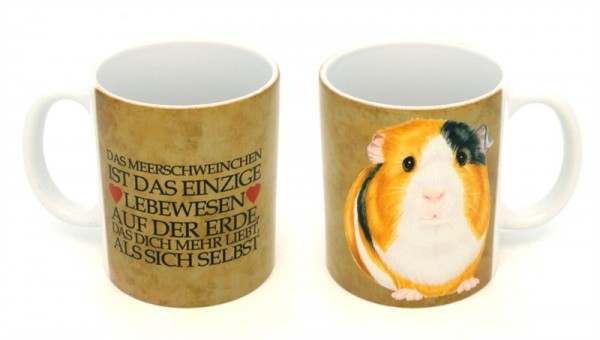 Meerschweinchen