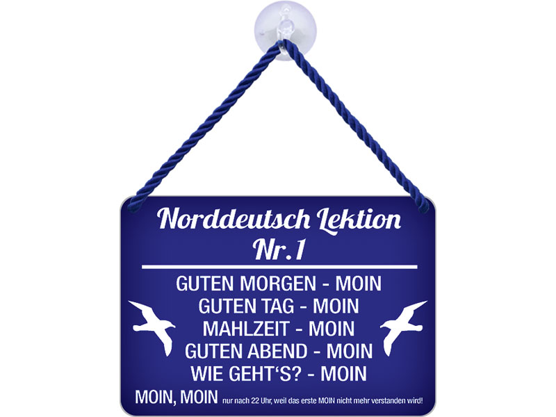 Blechschild Norddeutsch für Anfänger 20 x 30 cm Metallschild 42