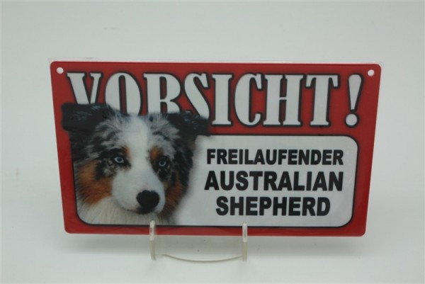 Australian Shepherd